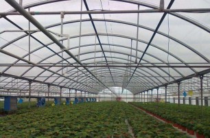 Intelligent greenhouse construction need to do a good job