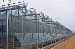 Glass greenhouse basic timber and construction characteristics