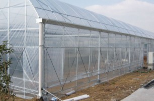 Eight tips to solve the greenhouse problem of dehumidification