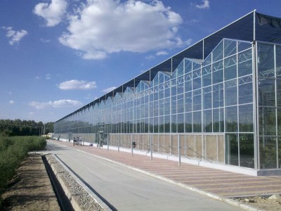 Intelligent Venlo type glass greenhouse
