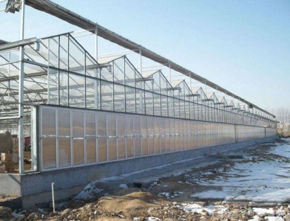 Venlo type sunshine panel greenhouse of Jiaocheng, Shanxi
