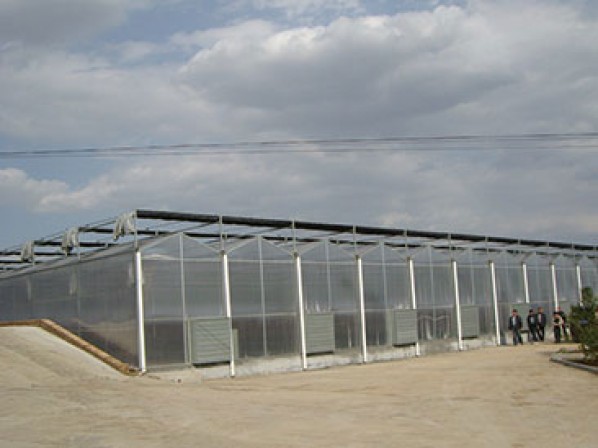 Venlo type sunshine panel greenhouse