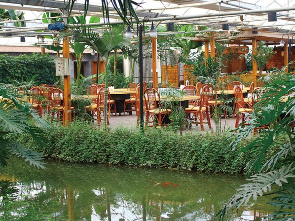 Ecological restaurant