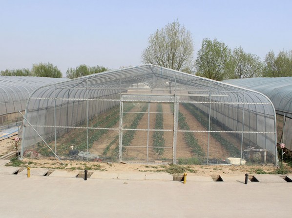 All-steel arched greenhouse